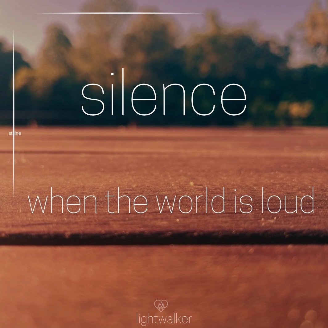 the february paradigm:
action through stillness
power through softness
learning through silence
connection through withdrawal