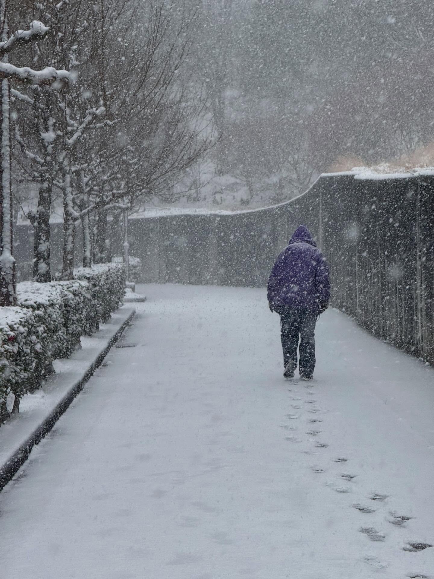 -
投票の帰り道
来た時の足跡がほぼ消えてる
見通し悪いけれど
少しマシな国になって欲しい
Web site
https://www.yumework.cc
🇯🇵
#favoriteplace #onthewayhome
#三田市
#衆院選挙2026