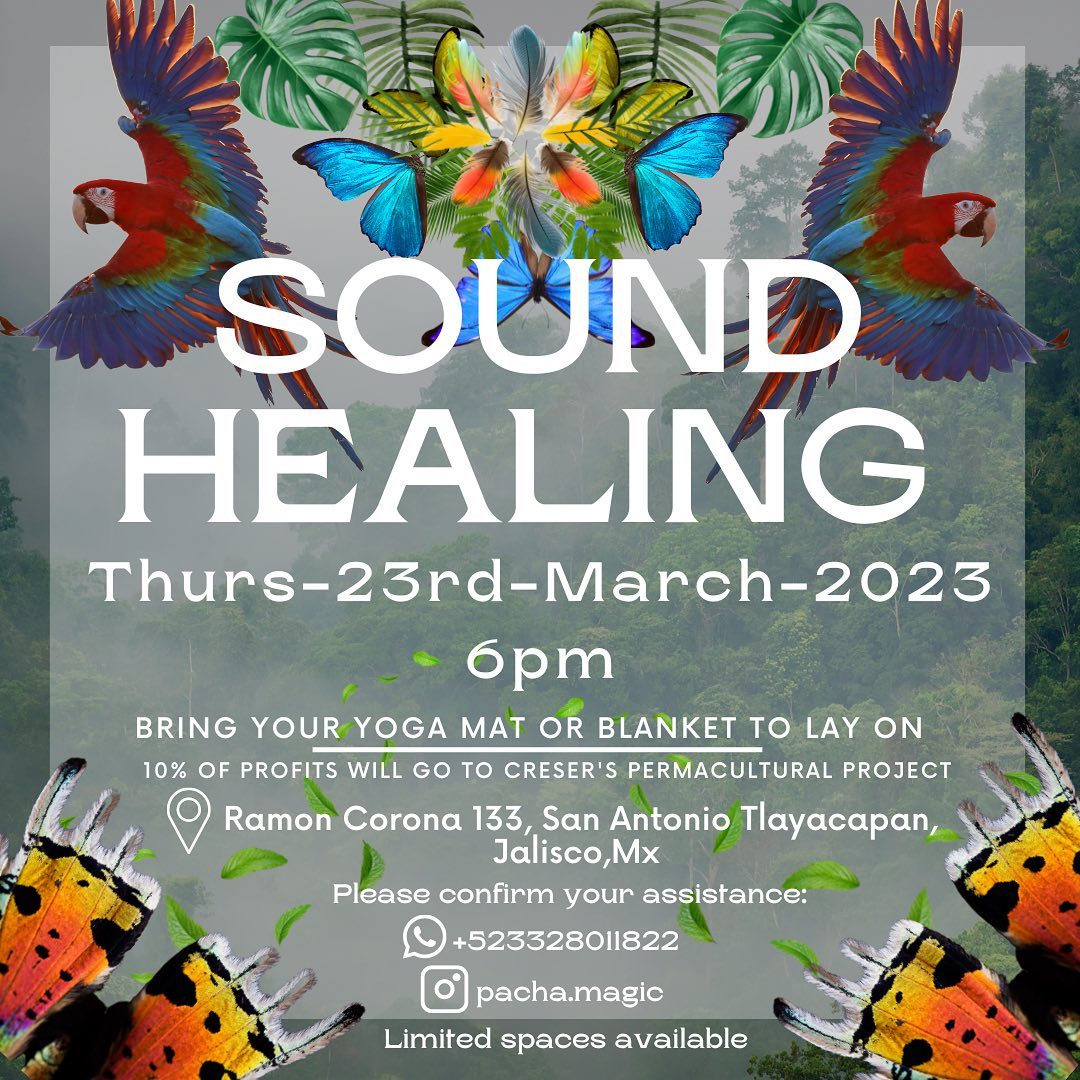 Hellowdy pueblo de la Ribera y más allá 🌊🧜♀️🐚
Invitándoles al próximo Sound Healing el próximo Jueves 23 de Marzo con el tema equinoxial primaveral 🌸🌻 Ven a darle este masaje sonoro💆🏽♀️ a tu celulas y huesos para incorporarte y reclamarte. Con el tema también del fuego 🔥 y la fuerza de la espiritualidad real encarnada y congruente. Ahó 🌟
~~~~~~
From my perspective, this change of seasons is calling for a review of our habits, thought patterns and relationships so that we can discern and cleanse that which doesnt serve us anymore. The intention for this Sound Healing is to support us in this transition, in the changes we’re going through, to focus in the new beginnings so we can let the rest fade away in an easy way. 🌬️
So you’re invited to the next Sound Healing on thurs 23rd of March with the theme of the Spring Equinox 🌞 the purging and cleansing not only physical but also relational and energetical, with the transformative power of the fire 🔥 and the purification of the mother lake 💧 Come to sonically purge and reclaim your soul back! 🤍🌻🌟🌸🐚🧜♀️🌊
