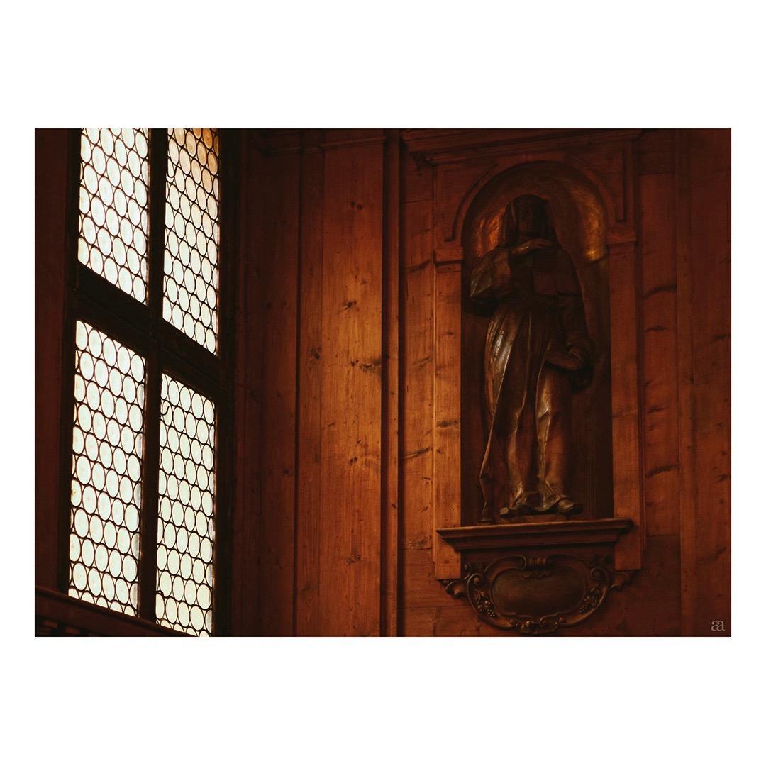 #bologna #anatomicaltheatre #italy #timberpanelling #senseofplace #placephotography