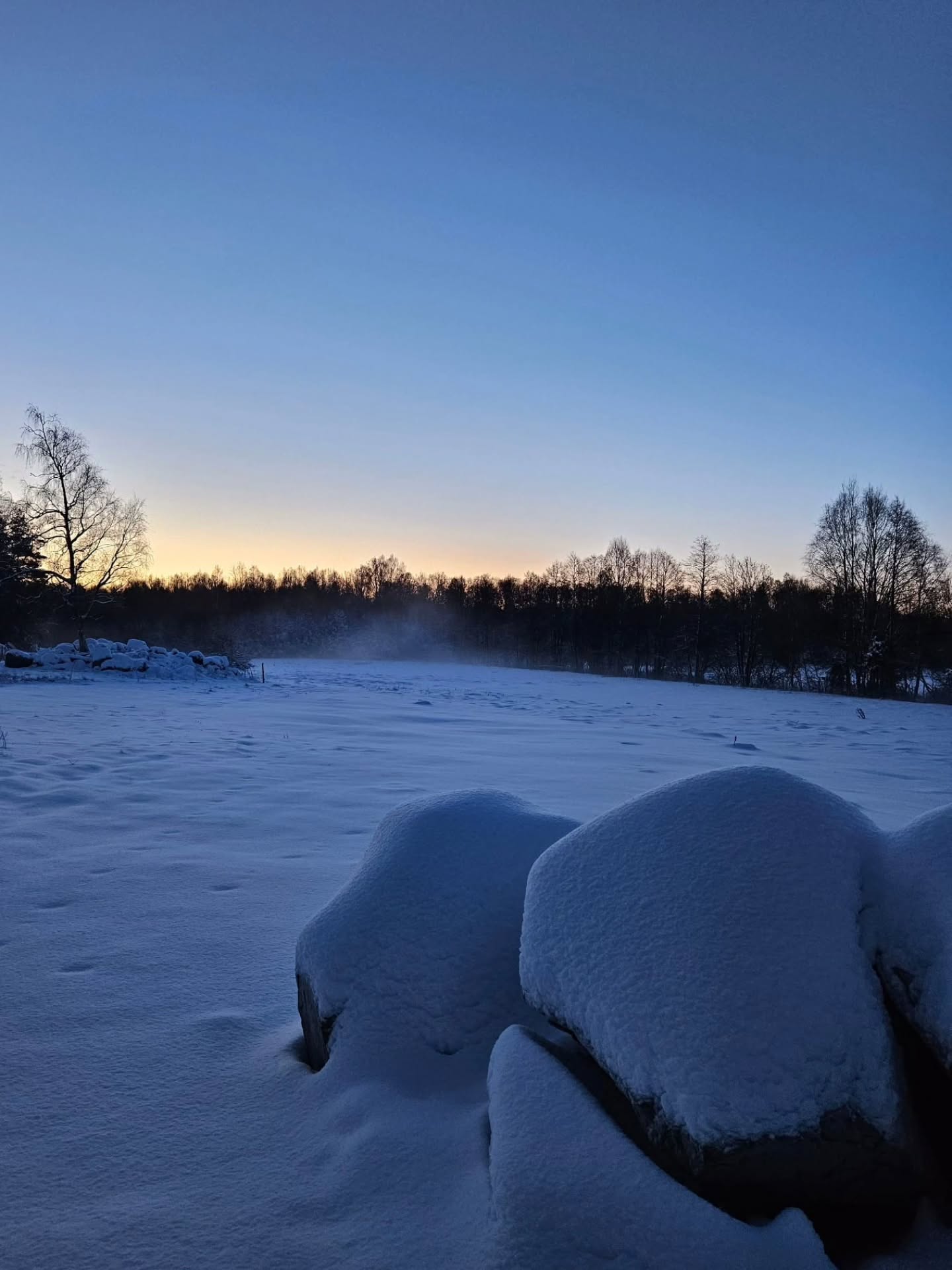 ❄️Dagridläger för barn på sportlovet
17 februari, kl 09.00-15.00
18 februari kl 09.00-15.00
Detta läger riktar sig till barn och ungdom som ridit minst 1 termin på ridskola, eller har motsvarande kunskap, och som minst kan rida och kontrollera din häst utan ledare i skritt och trav på ridbanan men som kanske behöver ledare på uteritt.
Lägret är också lämpligt för elever som ridit i många år i alla gångarter, vi har möjlighet att dela upp ryttarna i mindre grupper om det är olika nivåer på ryttarna.
Under dagen ägnar vi oss åt grupplektion på ridbanan, hästpyssel, en härlig uteritt, stallskötsel, teori och mycket annat kul.
🍽Egen matsäck och mellis medtages, kylskåp och micro finns. Vi bjuder på frukt och saft.
Har man ingen skjuts hem direkt vid 15 går det bra att hänga kvar hos oss och vänta tills föräldern slutat jobbet. Likaså går det bra att bli lämnad tidigare på morgonen om det behövs.
💰 Pris: 650kr/dag
Varmt välkommen till en härligt, hästig dag hoss oss på Ängvaktartorp!
❄️🐴🌞