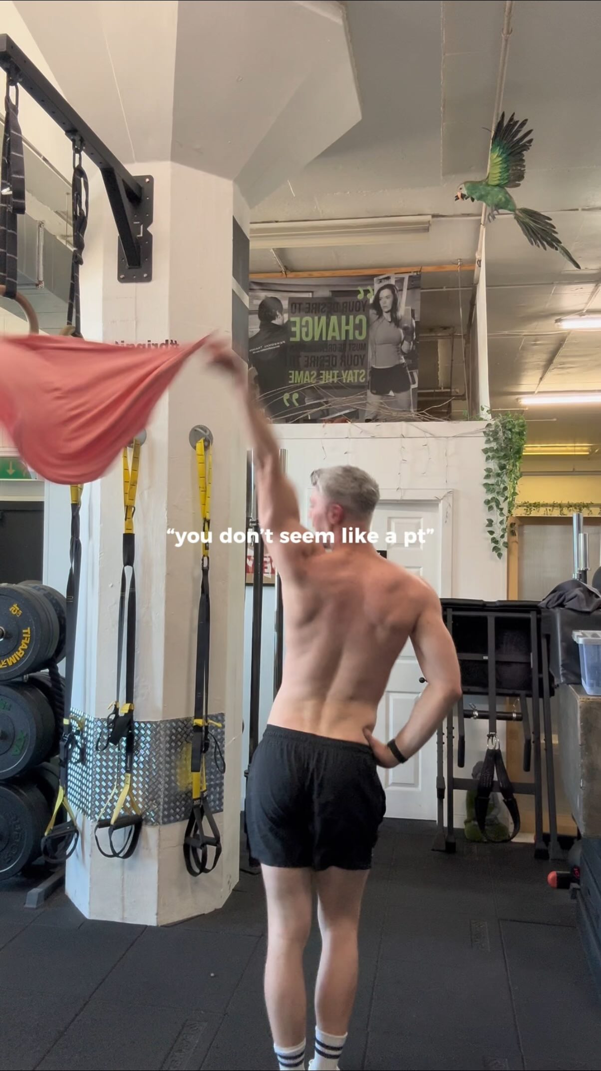 it’s not a personality type
we get the job done without ego energy
#inclusivepersonaltrainer #lgbtqiastrength #queerfitness #dancecoach