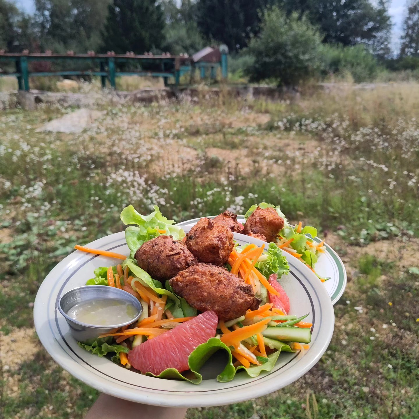 Accras mon amour, sauce aigre douce maison...
Sur le tournage de La poupée de Sophie Beaulieu, dans le Doubs et le Jura.
#doubs #jura #onset#cateribg #foodlife