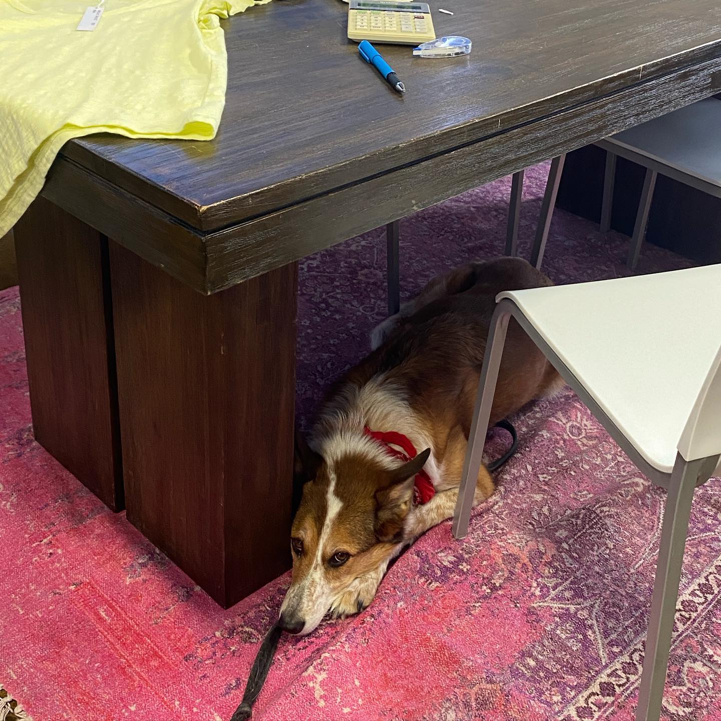 Best company for pricing 🥰