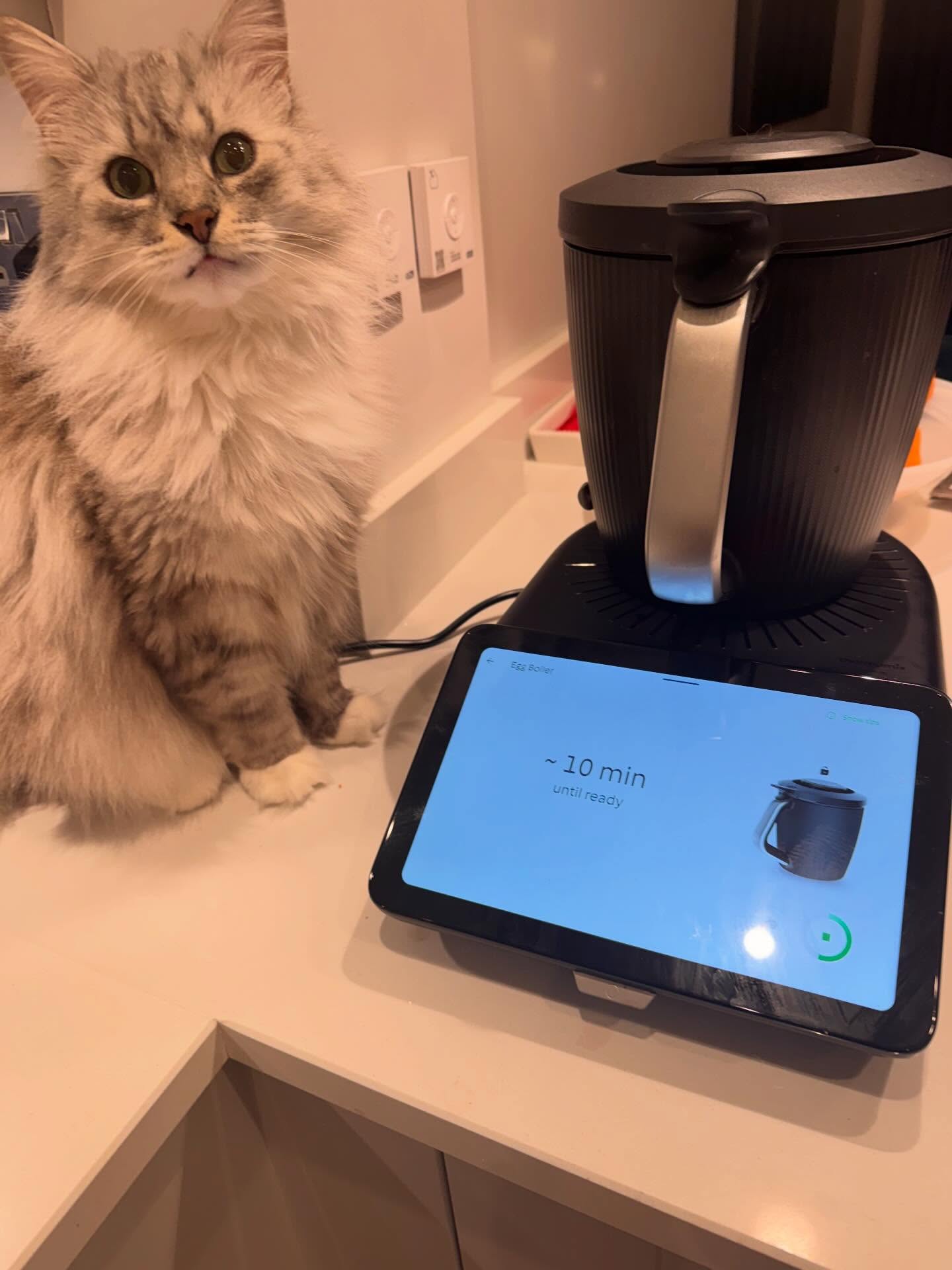 ‘Mum, what are you doing?’ ‘Cooking my eggs, son🥚’ #thermomix #thermomixtm7 🫶😋