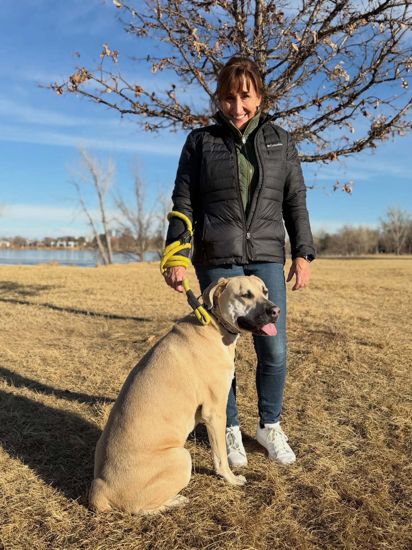 Loyal Hound Client Spotlight: Ashe 🌟
This sweet face hides a little mischief 😅 Meet Ashe and his owner Tracy. When Ashe first came to us, he was struggling with dog fights at daycare, serious leash pulling, and a classic case of selective hearing when it mattered most. These behaviors weren’t about dominance or stubbornness, but a lack of structure, impulse control, and clear communication. We are focused on foundational obedience, leash manners, engagement with his handler, and teaching Ashe that listening always pays off. By creating consistency and accountability, Ashe learns how to stay calm around other dogs, walk politely on leash, and will respond reliably even when distractions are high. The transformation even this early on has been incredible to watch (calmness, more checking in, etc), and Tracy’s dedication to practicing and reinforcing the training has made all the difference. Watching Ashe grow into a more focused, respectful, and balanced dog has been such a win for everyone involved 💛
#DenverDogTraining #DogTrainingResults #LeashTraining #BehaviorModification #BalancedDogTraining