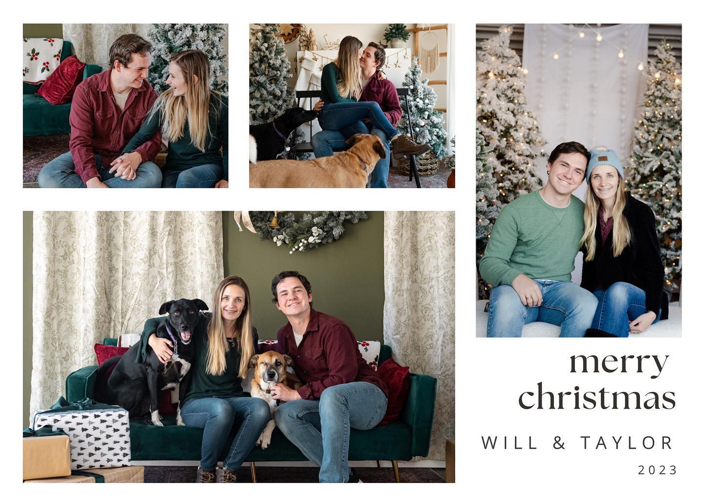 Happy Holidays!!! 🎄