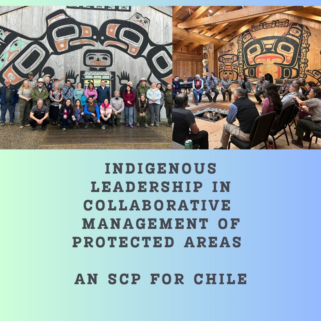In September, MCID was honored to host this on-demand #IVLP group from #Chile working in Indigenous Leadership and Collaborative Management of Protected Areas. This group consisted of Indigenous leaders and various topics of environmental management. They traveled from San Francisco California to Eureka and were welcomed by multiple communities throughout Alaska. In Alaska, they were welcomed by Glacier Bay National Park Leadership and the Tlingit community and can be seen visiting and meeting in the tribal house in Hoonah Alaska.