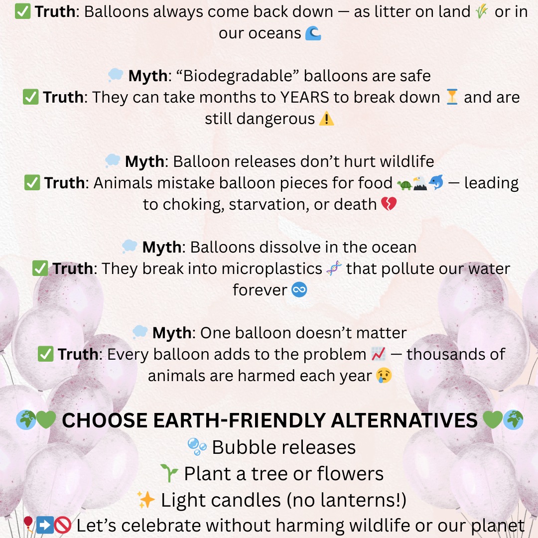 Follow us on Facebook