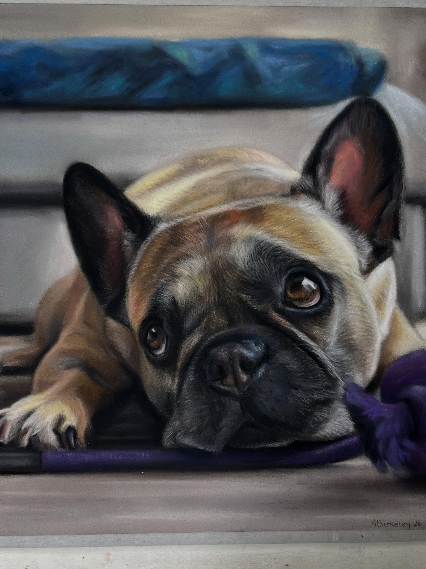 @mauracashe was the lucky winner of the pet portrait competition held in collaboration with @emilyodonnellstyle back in December 2025.
Here is her much adored LilyBelle who passed away unexpectedly in November â¨
âShe filled our home with squeaky balls, dramatic snores, farts, and the soft pitter-patter of her paws that made our house feel alive.
LilyBelle brought endless joy, mischief, and love - giving kisses and cuddles even when she pretended she didnât want themâ
The competition thread was a collection of so many stories- favourite memories, cute quirks & mischievous personality traits. It made me both happy and sad to see the impact these furry paws have left on your hearts.
Thank you so much for sharing. X
#petportraitartist #petportraits #frenchie #frenchbulldog #animallovers