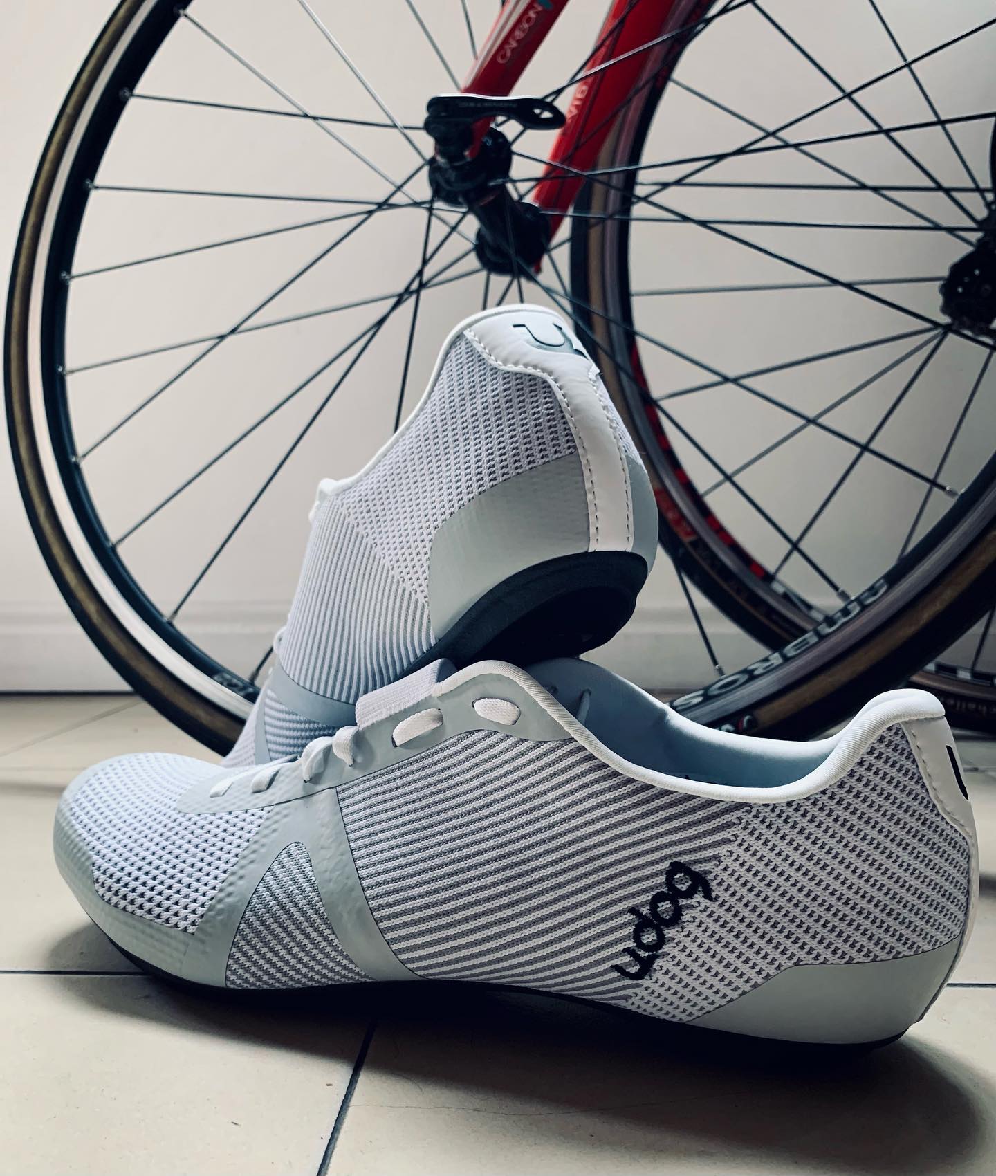 Not that we need extra motivation to go riding, but new cycling kicks!!!always special!!!
Thanks to @udog.cc for inviting us to make part of their ambassadors team.
The Cima definitely look the part!!!
•
•
•
•
#cyclingculture #insearchofup #cyclingmemories #roadcyclingpics #ridelots #lifebehindbars #whyiride #cyclingporn #fromwhereiride #beautyofcycling #cyclingphotography #whereiride #outsideisfree #wymtm #instaroads #fromwhereweride #cyclingadventures #roadcyclist #cyclingshots #roadstotravel #roadstoride #cyclingshoes #udog #cima #cyclingtour #cyclingholidays #cyclingaddiction #cyclinggear #whiteshoes