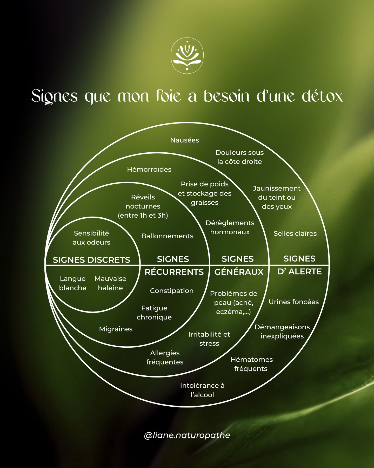 Excès du carnaval et foie ? 🎭 Prenez soin de cet organe essentiel avant que ces signes apparaissent...
Voici comment repérer ses appels à l’aide, du simple chuchotement au cri d’alarme.
Votre foie est une véritable station d’épuration : il filtre le sang et neutralise les déchets en permanence. Mais en période d’excès (alcool, gras, sucre), il s’encrasse et la « station » sature !
3 réflexes simples pour soutenir son travail :
🍋 Le citron : un peu de jus dans de l’eau tiède le matin pour stimuler la production de bile.
🥦 Les crucifères : brocolis, choux, pak choï... ils apportent le soufre nécessaire pour aider l’élimination.
🍵 Les tisanes (sauf contre-indications) : romarin, boldo ou gingembre pour faciliter la digestion et une détox douce.
Vous ressentez ces symptômes régulièrement ? Votre foie a besoin d’un soutien sur-mesure. Prise de rendez-vous via le lien en bio !
⚠️ Si vous vous reconnaissez dans les « SIGNES D’ALERTE », consultez un médecin avant toute chose.
__________
#naturopathie #naturopathemartinique #santénaturelle #carnavalmartinique #détox