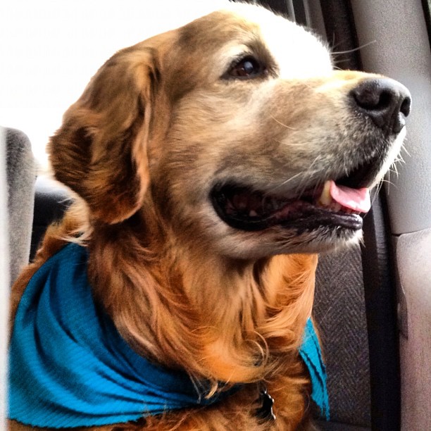 Yukon. I am happy.
