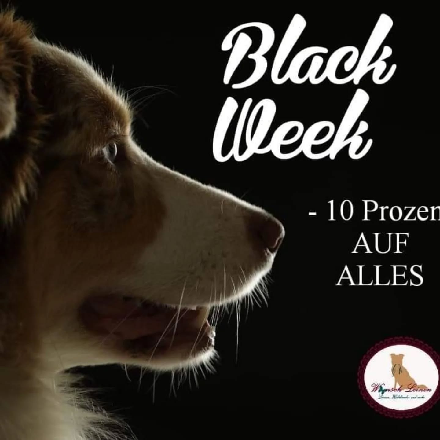 BLACK WEEK 🖤
bei Wunsch Leinen
Bis zum 06.12.2024 habt ihr noch die Möglichkeit eure ersten Schnäppchen für Weihnachten bei WUNSCH LEINEN zu shoppen.
Mit dem Rabattcode: "blackfriday2024" erhaltet ihr 10% auf unser gesamtes Sortiment in unserem Onlineshop.
www.wunsch-leinen.de
#rabatt #rabattaktion #rabattcode #gutscheincode #aktion #schnäppchen #weihnachtsgeschenke #weihnachten #geschenkideen #geschenke #hunde #hundeliebe #hundephotografie #aussiefreunde #tauleinen #tauhalsbänder #tauprodukte #paracord #paracordprodukte #paracordsets #paracordfashion #paracordlifestyle #blackfriday #paracordliebe #halsbänder #blackweek #hundeacessoires #hundezubehör #blackweek2024 #wunschleinen