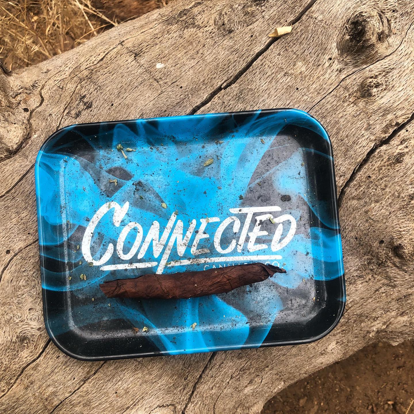 Logs on logs 🏕🪵🌲
We stayed lit on our camping trip to Mt. Laguna…. Next stop, the Sequoias 😍 10/10 recommend camping for any and everyone. Even if you think it’s not your “thing” there is nothing like camping to give you the ultimate reset. This world is pretty crazy these days, we all must find ways to disconnect, remember who we are, & ground ourselves in nature. It reminds us of all that our ancestors went through before we had all the luxuries we now have today. Smoke some good herb, eat delicious whole foods, dance under the moonlight and remember how small you are in this expansive multiverse👽✨ #camping #trees #mushrooms #cannabis #connected #disconnected #free #earth #love #light #grounding #shadowwork #themarijuanamedium