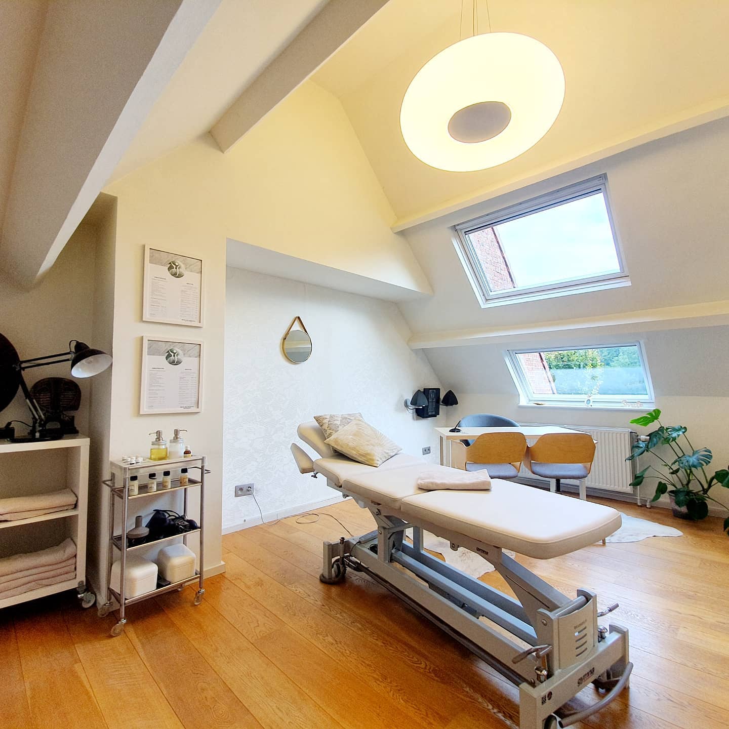 Centre/Centrum Meditrina 🏨©️
#kinesitherapie #personaltrainer #endermologie #kinesport #sintpietersleeuw