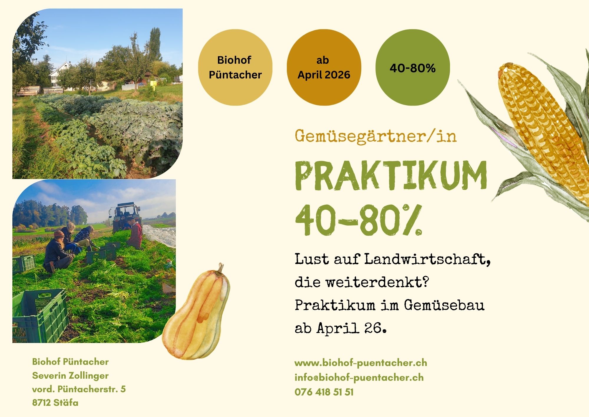 Stellenangebot / Praktikum Landwirtschaft & Gemüsebau
Wir sind ein kleiner Biohof in Stäfa am Zürichsee mit rund 9 ha Land. Auf kleiner Fläche bauen wir eine grosse Vielfalt an Gemüse an (Bodenbearbeitung mit Traktor), darunter Lagergemüse und Kartoffeln. In einem mobilen Stall halten wir 120 Legehennen.
Zudem bauen wir verschiedene Getreidesorten an.
Wir arbeiten nach den Prinzipien der regenerativen Landwirtschaft. Neu bewirtschaften wir unsere Flächen im Dammsystem nach Turiel; ein spannendes, neues Lernfeld auch für uns. Wenn möglich, verwenden wir samenfestes Saatgut und probieren gerne Neues aus. Auf einzelnen Flächen setzen wir bereits Keyline- und Agroforstmethoden um.
Unsere Produkte vermarkten wir direkt über den Hofladen, den Wochenmarkt in Stäfa sowie über einige Bioläden und regionale Küchen.
Dein Profil
Du hast Interesse an einem Praktikum im Gemüsebau oder in der Landwirtschaft, arbeitest gerne draussen und bist körperlich fit.
Die Aufgaben sind so vielfältig wie unser Hof:
Säen, Pflanzen, Pflegen, Ernten, Rüsten und Packen, Marktverkauf – bei schlechtem Wetter auch mal ein Bauprojekt oder gemeinsam Sauerkraut stampfen.
Rahmenbedingungen
Start ab April 2026, Pensum: 40 – 80 %, flexibel planbar
Im April ist es noch etwas ruhiger, ab Mai kannst du gut ausgelastet sein
Stäfa ist sehr gut mit öffentlichen Verkehrsmitteln erreichbar
Wenn du dich angesprochen fühlst und Lust hast, dich in ein junges, spontanes Team einzubringen, freuen wir uns sehr über deine Nachricht.