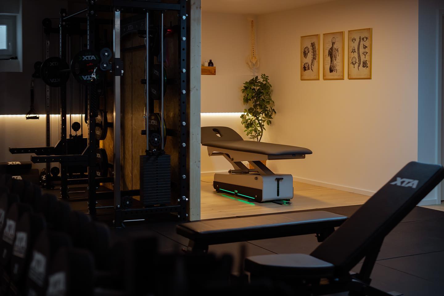 Training oder Therapie? Bei Carelethics geht beides! 🏋🏼🧘🏼♀️
#training #personaltraining #physiotherapy #bookyourappointment #doctolib #carelethics #privatephysiotherapie #berlin #brandenburg