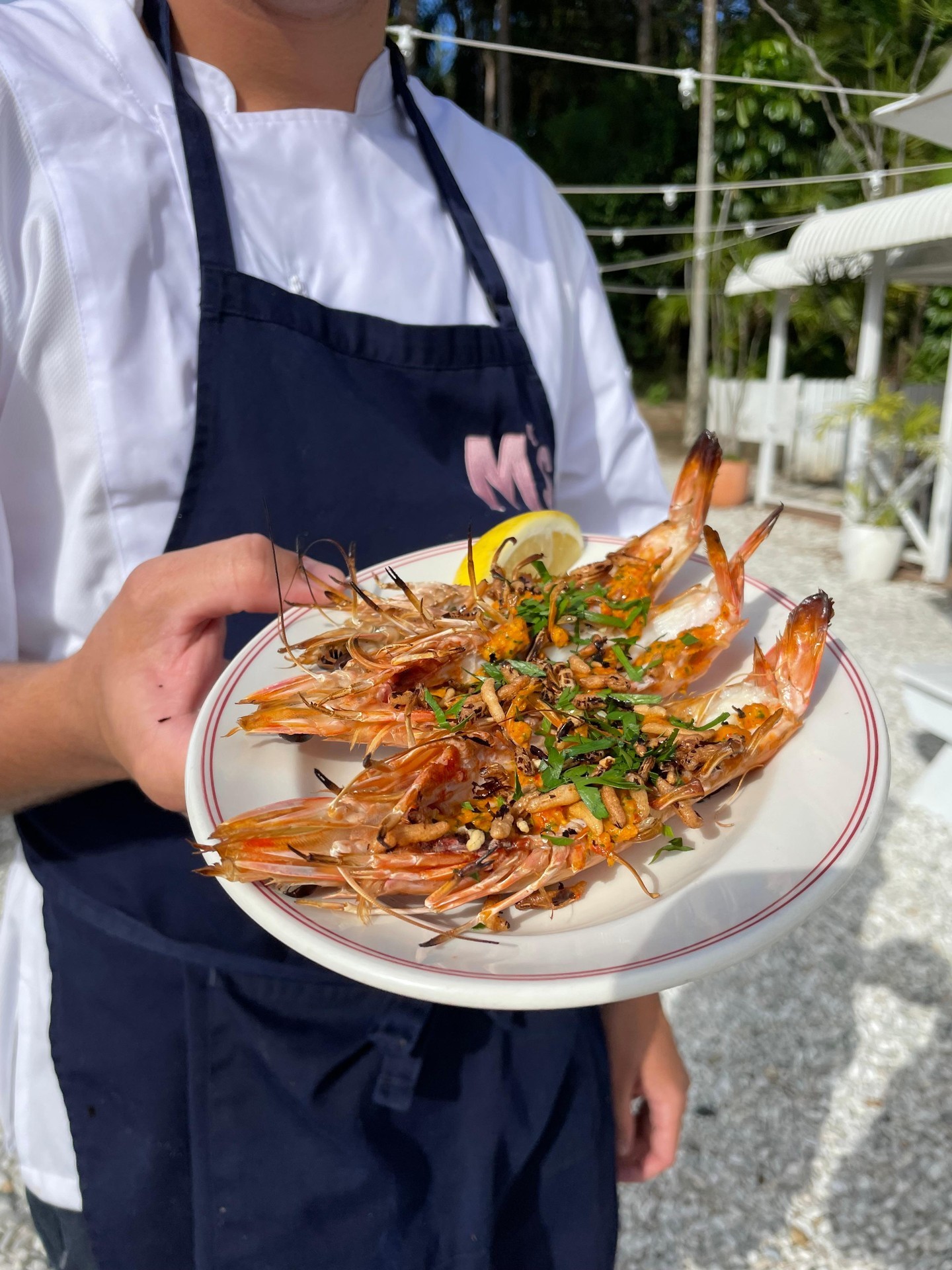 Each weekend this May, we’ve been recreating some of our favourite Japanese flavours on the chargrill. Arvo’s have been well spent nibbling edamame and charred chicken ribs and sipping yuzu highballs at our beloved local hangout.
Our backyard BBQ will shift gears once more in June, so grab your crew and waltz on over.
Grilling Saturday and Sunday from 12pm, ‘til gone (and it usually goes so do book!)
See yuzu soon