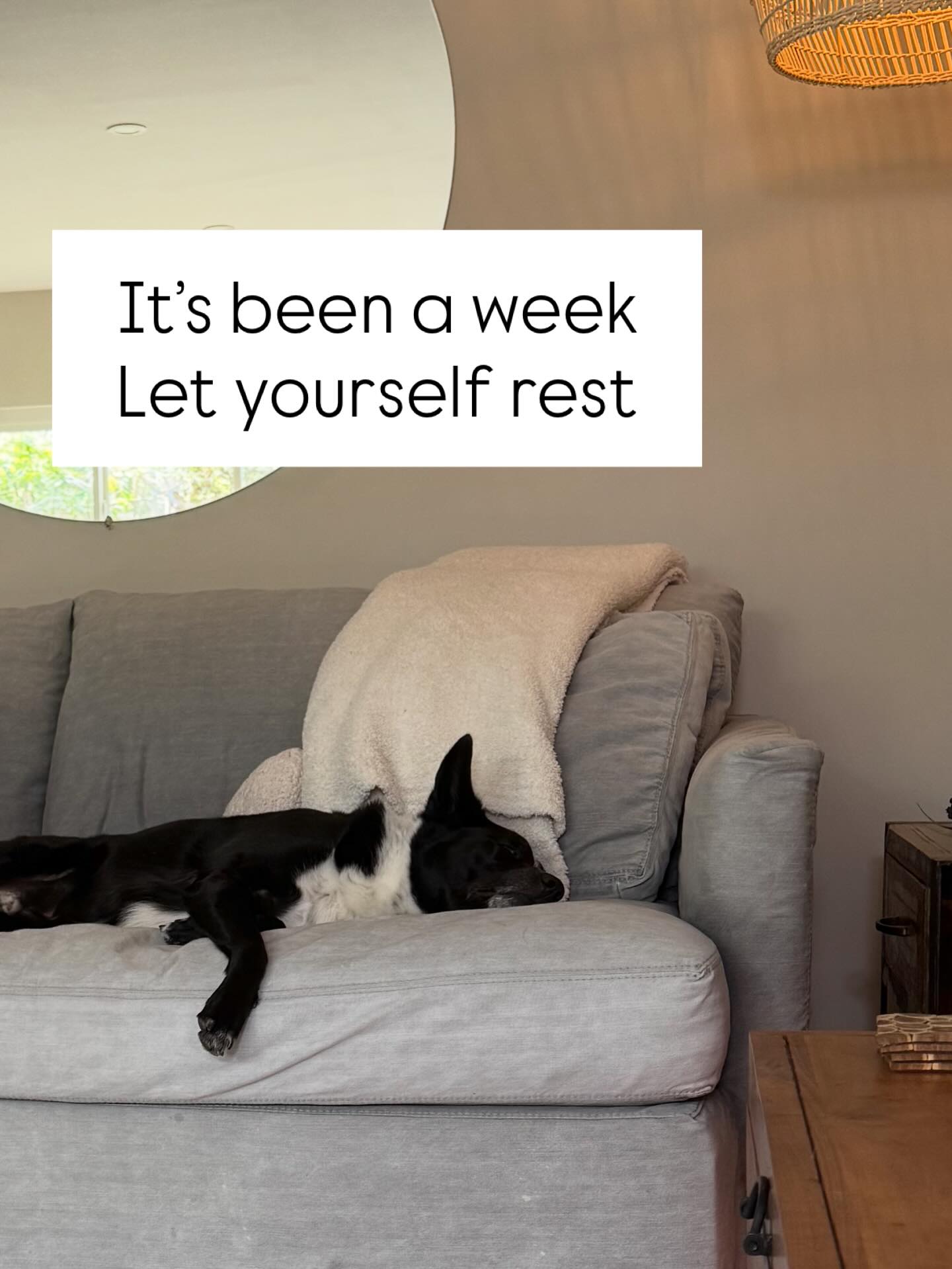 Lessons from Luna 🐾
#rest #dogsofinstagram #lessons