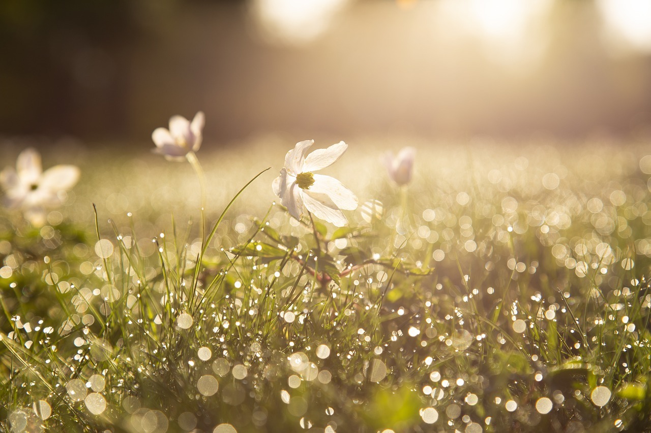 Frühlingsfrisch im Einklang mit Yoga und Meditation! 🌸🧘♀️
Herzlich willkommen zum Frühlings-Newsletter! Mit dem Erwachen der Natur lade ich dich ein, gemeinsam die erneuernde Energie des Frühlings durch Yoga und Meditation zu erleben: https://mailchi.mp/love-letter-march
.
.
#NeuerYogaStundenplan #YogaZeit #GesundeBalance #Namaste #frühling #meditation #yogawellbeing #inbalance #reithimalpbachtal #YogaEntspannung #TiefeRuhe #Stressabbau #alpbachtal
