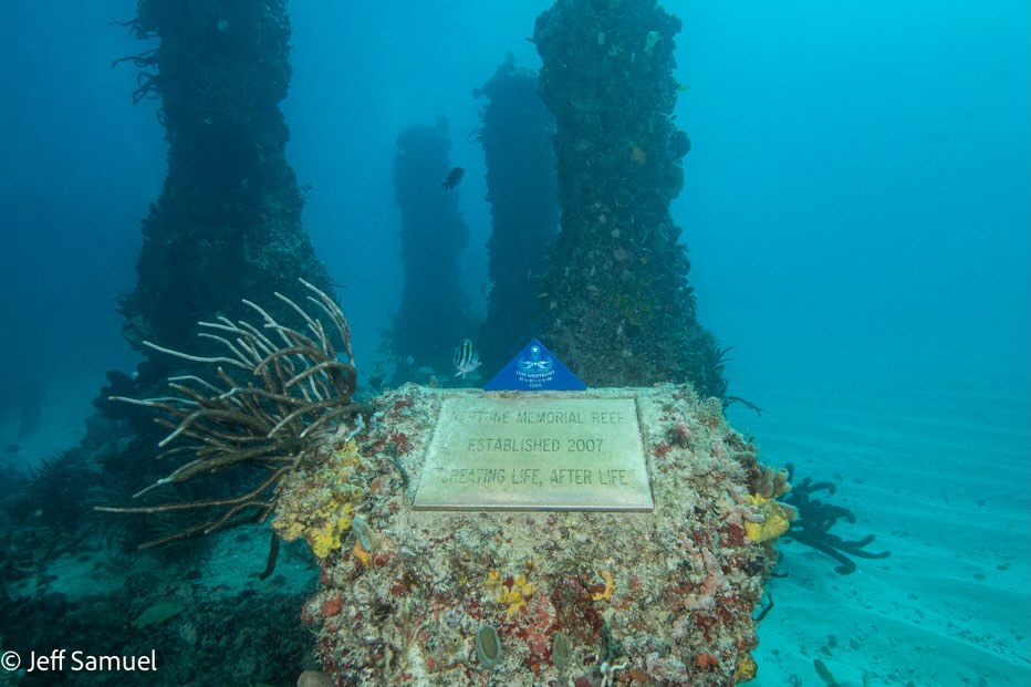 Neptune Memorial Reef 🌊 Established in 2007. We placed Luis Souffront memorial headstone here in 2009, and we’ve been coming back ever since. It’s more than a dive site — it’s a place of remembrance, peace, and connection. So grateful for the years we’ve been able to visit. 💙🤿. @neptunememorialreef @jsamuel215 @diversparadisemiami @carriew123