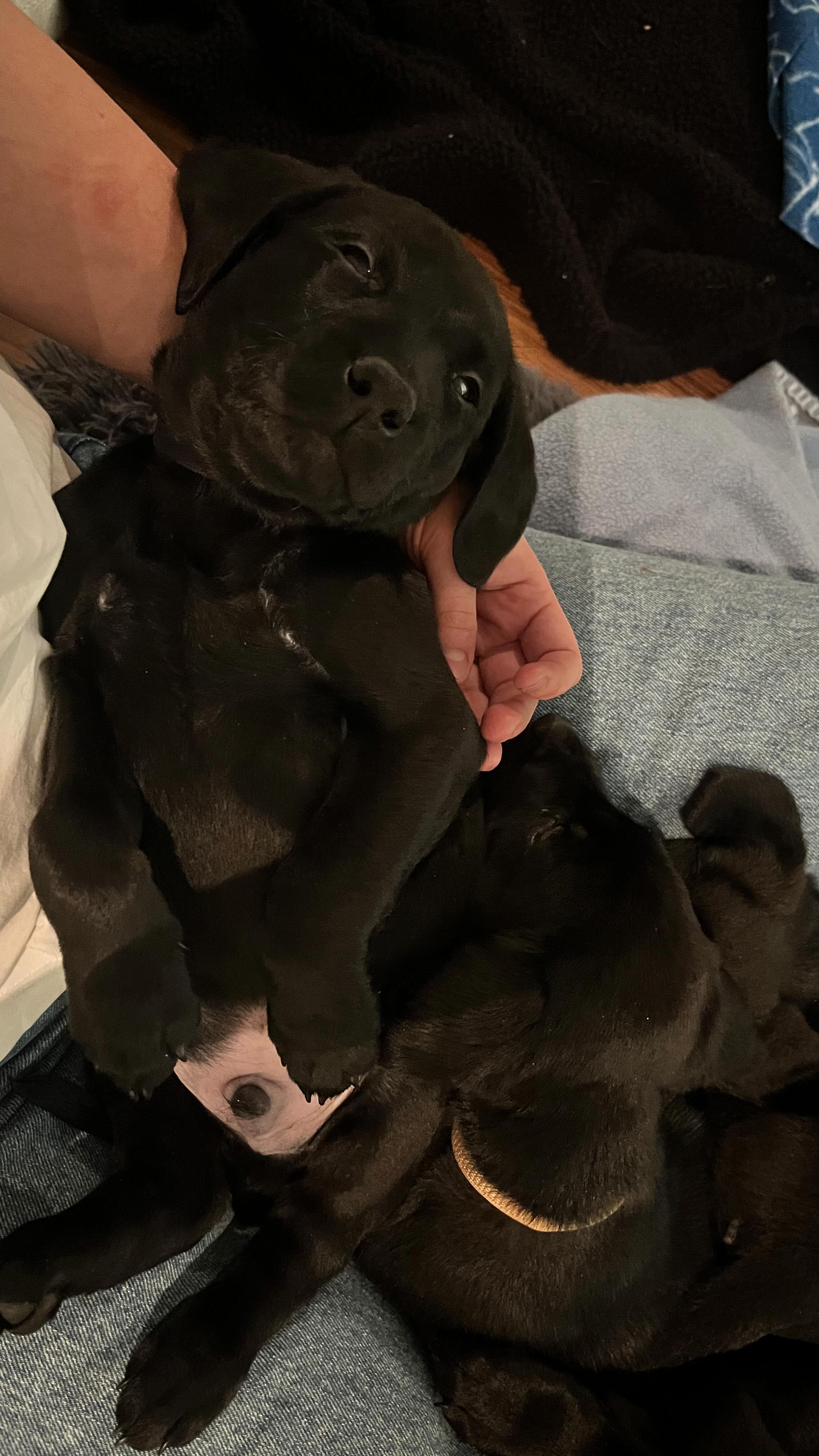 Finns inte mycket som slår det här ❤️