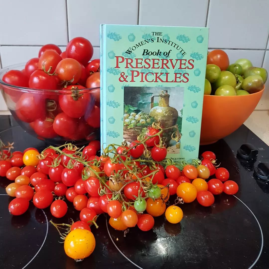 Time to stop procrastinating with the tomatoes!
Fortunately, I really like tomato soup, tomato relish, green tomato chutney, passata sun(oven)-dried tomatoes .. have I missed anything, lads n lasses and does coconut milk work in tomato soup to make it creamier??
#tomatoes #moretomatoes
#homegrowntomatoes #wheretoshoveyourtomatoes