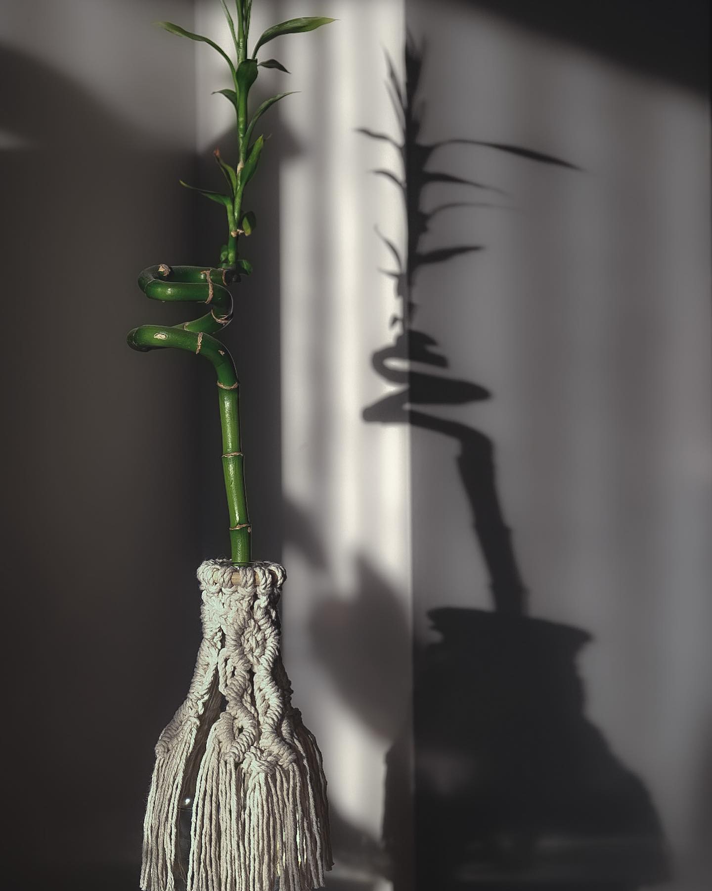 I hope everyone is soaking up the sun this weekend. My macrame decor are too!
#knotbyhannah #spring #madetoorder #handmade #macramé #accessories #april #toronto