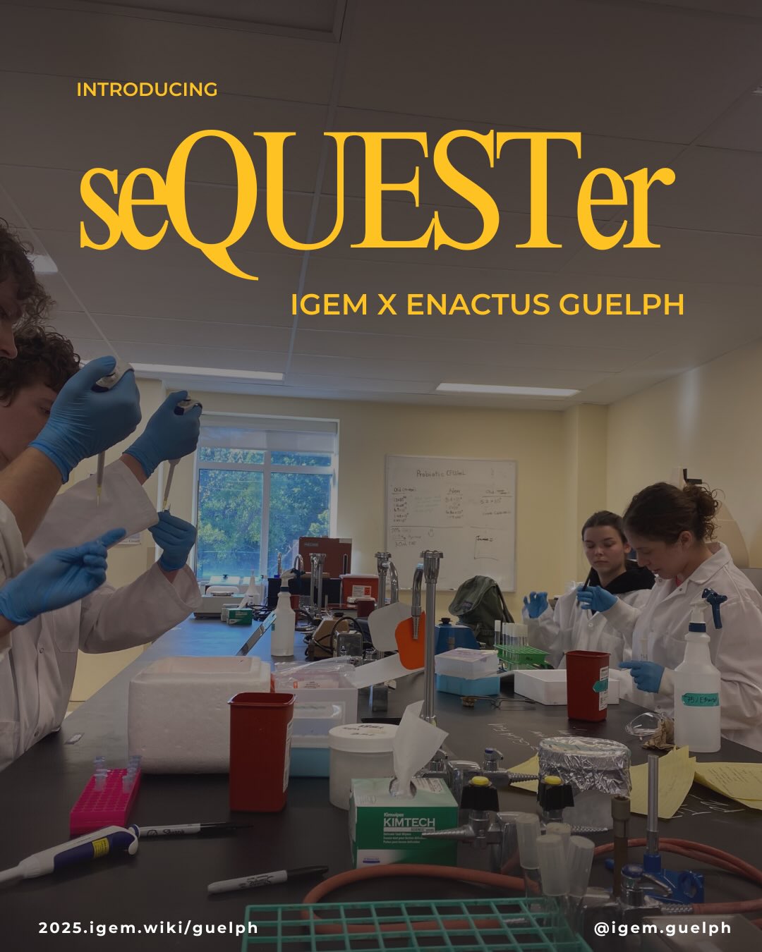 Project Spotlight: seQUESTer
Proud to collaborate with @igem.guelph , Gold Medal winners at the 2025 iGEM Grand Jamboree in Paris for seQUESTer, an innovative synthetic biology project designed to detect and capture lead in freshwater, helping create safer, cleaner drinking water for communities worldwide.
Learn more: 2025.igem.wiki/guelph
#enactus #enactusguelph #sustainability #igem #universityofguelph