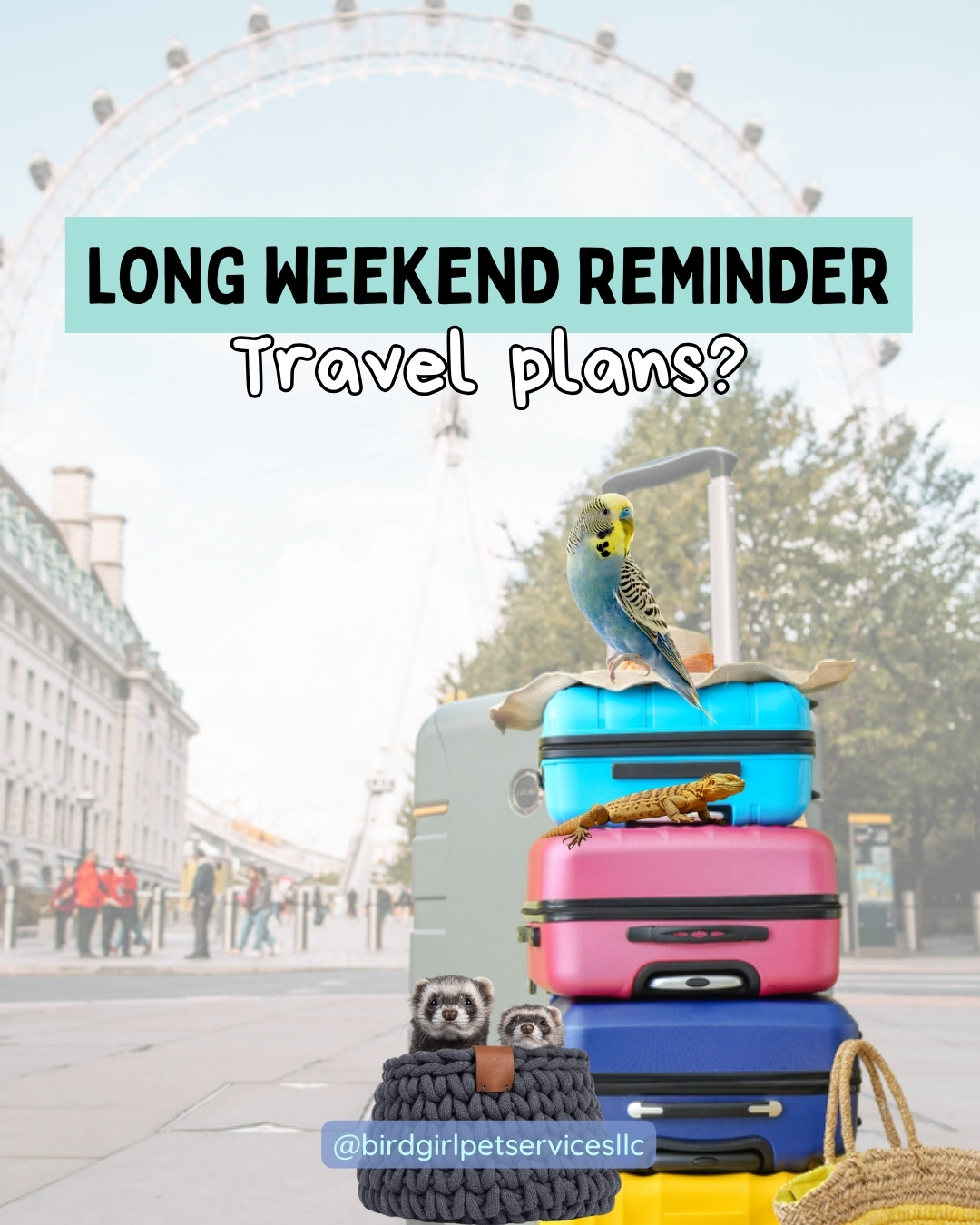 If you love your exotic pet and you’re traveling this month, plan early. Exotics don’t do well with last-minute guesses.
Before you leave, make sure:
• Your heat & timers are reliable
• Care instructions are written clearly
• Supplies are easy to find
• Emergency vet info is ready
• Someone experienced can check in consistently
A good sitter isn’t just there to feed. They’re there to notice what you can’t from a hotel room.
Traveling soon? Book your stay early!