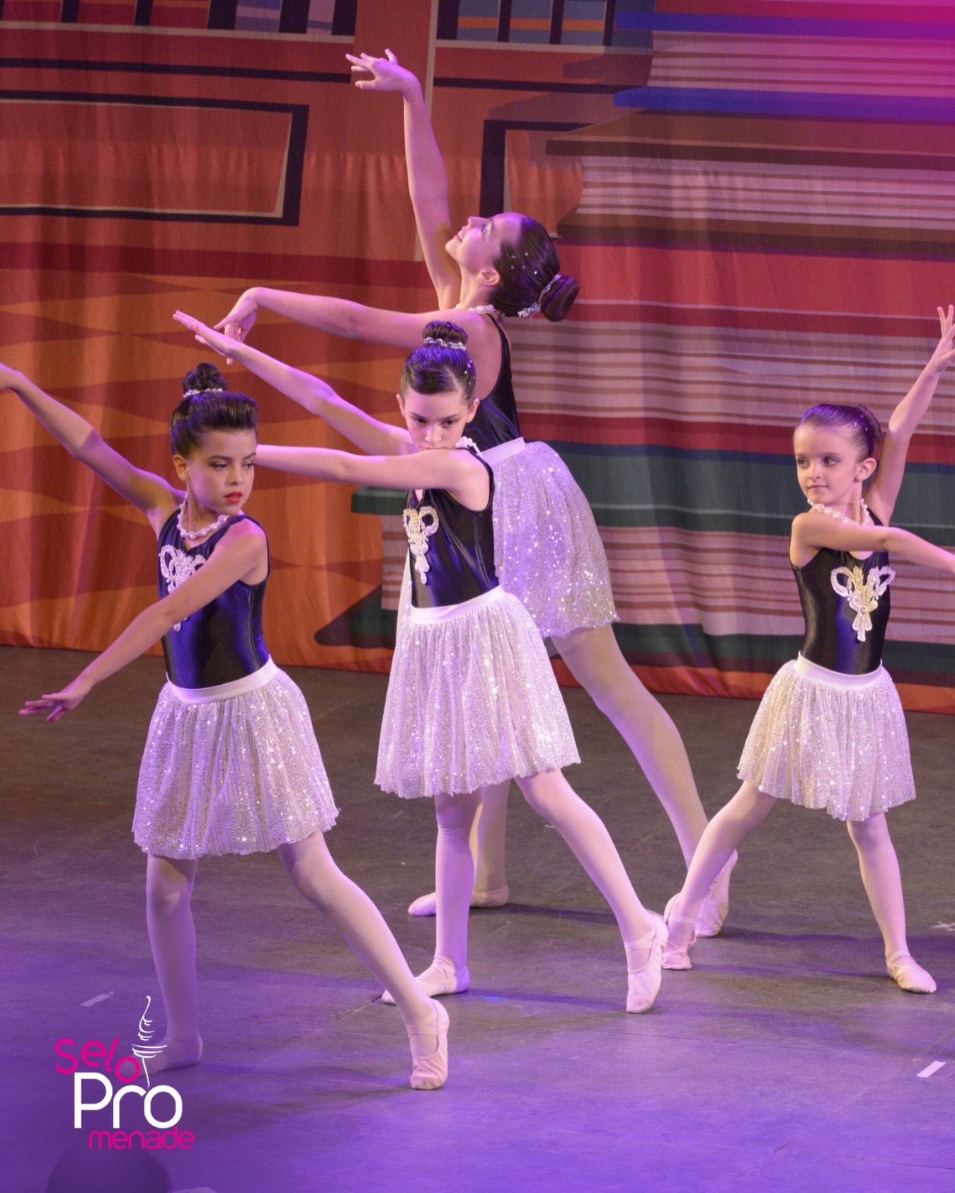 Quer ser Pro? O Selo Promenade já está em vários locais. Venha dançar com o selo Pro 💜
#dança #espetáculo #estudiodedança #selopro