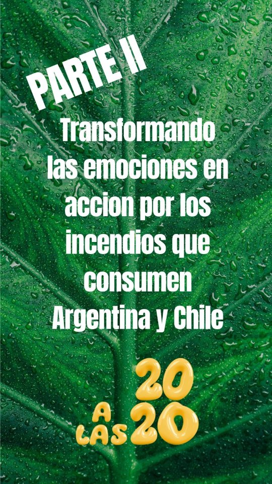 Finalmente les comparto la segunda parte de nuestro "live" en el cual les comparto diferentes maneras de tomar acción colectiva sobre lo que está secudendiendo con los incendios.
El día de hoy los afectados son Argentina y Chile con los incendios pero nuestro continente es muy amplio, como lo es la diversidad de desastres que pueden ocurrir en nuestro territorio. Ante ésta realidad lo mejor que podemos hacer es educarnos, organizarnos y actuar.
Si tienen algún comentario les leo.
#inclusionanimalendesastres #iadlatam #incendioschile #incendiosargentina #desastres