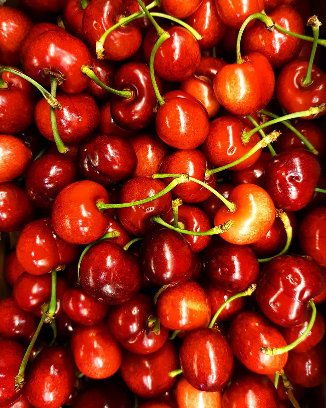#cherry #cherry🍒 #cherrys #kirschen #cerezas #cerejas #kiraz #wisnie #ciliegie #cerises #spain🇪🇸 #españa #fromspain #fruit #food #sweet #red #healthy #foodie #fruitarian #wholesale #hamburg #germany