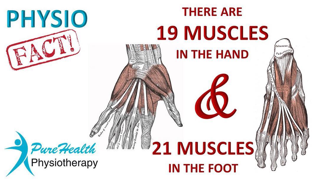 Contact us today:
www.purehealthphysio.co.uk
Info@purehealthphysio.co.uk
01784 421 218
07443419973
#physiotherapy #sportsrehab #sunbury #thegymsunbury #thegymfeltham #feltham