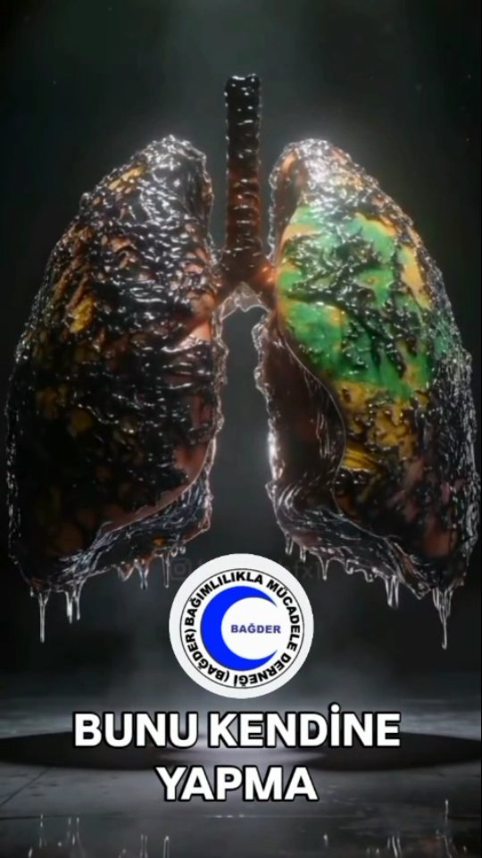 Sigara Alkol ve Uyuşturucu'nun Vücuda Etkisi Kendinize Zarar Verip Bunu Yapmayın #uyuşturucu #uyuşturucuyahayır #uyuşturucuylamillimücadele #keşfet #keşfetteyiz