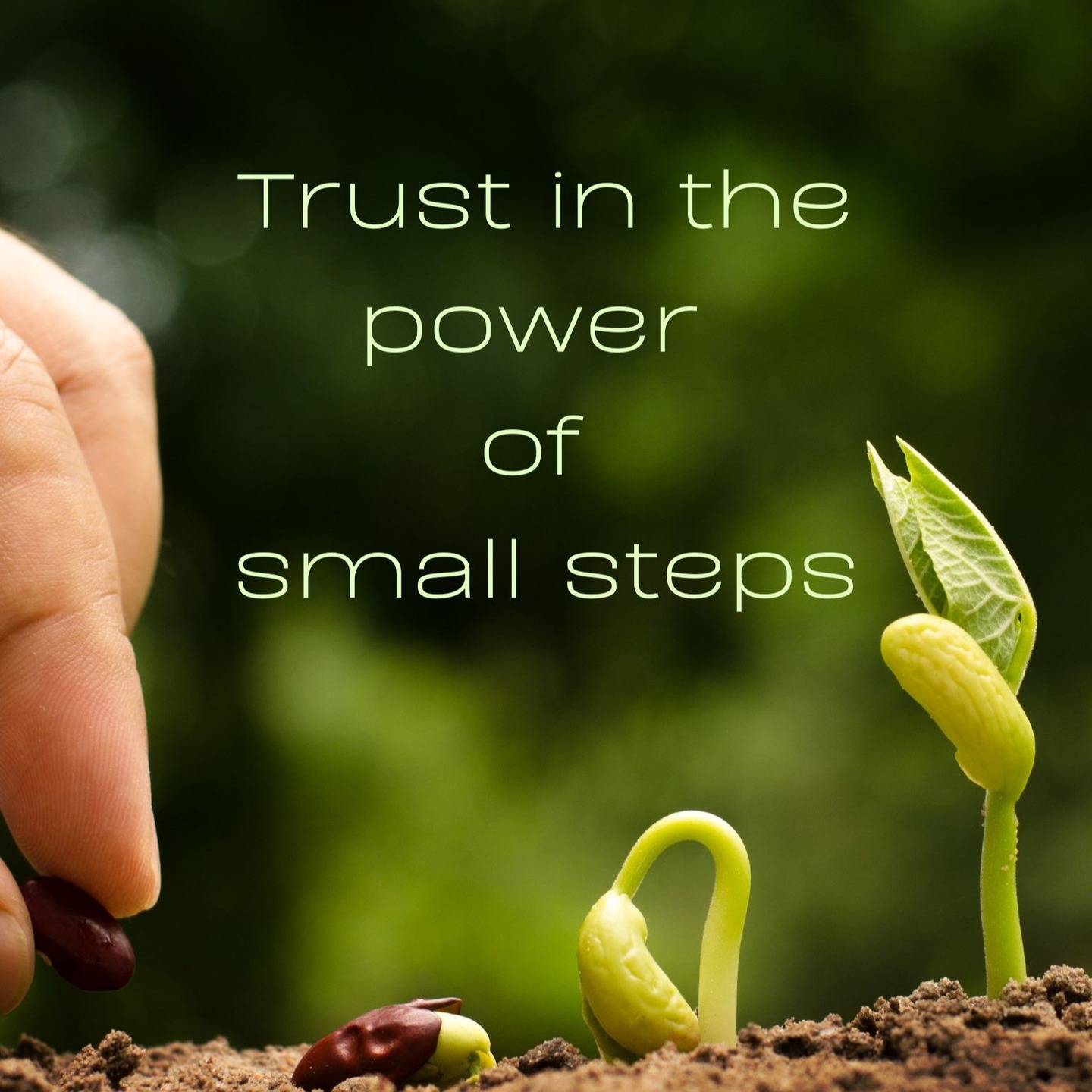 My prompt from my dreamwork: What part of me believes that if I understand it well enough, I will finally feel ________? (Content? Enough? Whole?) Cause man I keep striving to figure things out...
I also spent some time with my Gene Keys. We’ve shifted into the Sphere of Evolution on the Sage’s Journey, and mine is Gene Key 9 - the Shadow of Inertia, the Gift of Determination, and the Siddhi of Invincibility.
This key is called The Taming Power of the Small, and it’s been speaking directly to my relationship with energy. It reminds me that inertia comes from exhaustion, misalignment, and giving energy where it isn’t met. And that determination isn’t about pushing harder…it’s about consistently choosing what’s true and aligned.
Together, my dreamwork and Gene Key 9 have been asking me: Where am I putting my energy? And what actually lights me up?
After some thought, I think my spark is this: To be met. To offer from a place of wholeness. To know I am enough and to let my path unfold naturally. To connect with community with excitement, curiosity, and commitment.
I’m practicing small steps rather than large leaps...and I'm trusting they carry more power than I think.