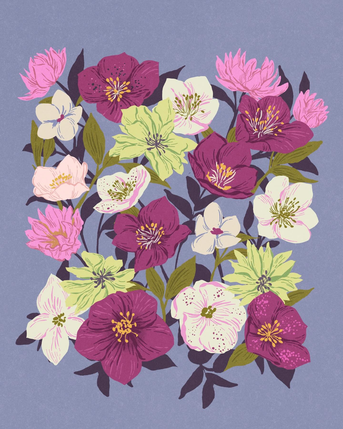 I did not know about Hellebore until I started designing calendars for @fiveforkfarms ?!? Now I am totally obsessed and find their colors to be perfection.
#theydrawandgarden #bouquet #gardenlove #patterndesign #floraldesign
repeat patterns - floral illustration - botanical illustration - vintage - procreate - art licensing - wallpaper patterns - greeting cards - anemones - greeting card designs - book illustration