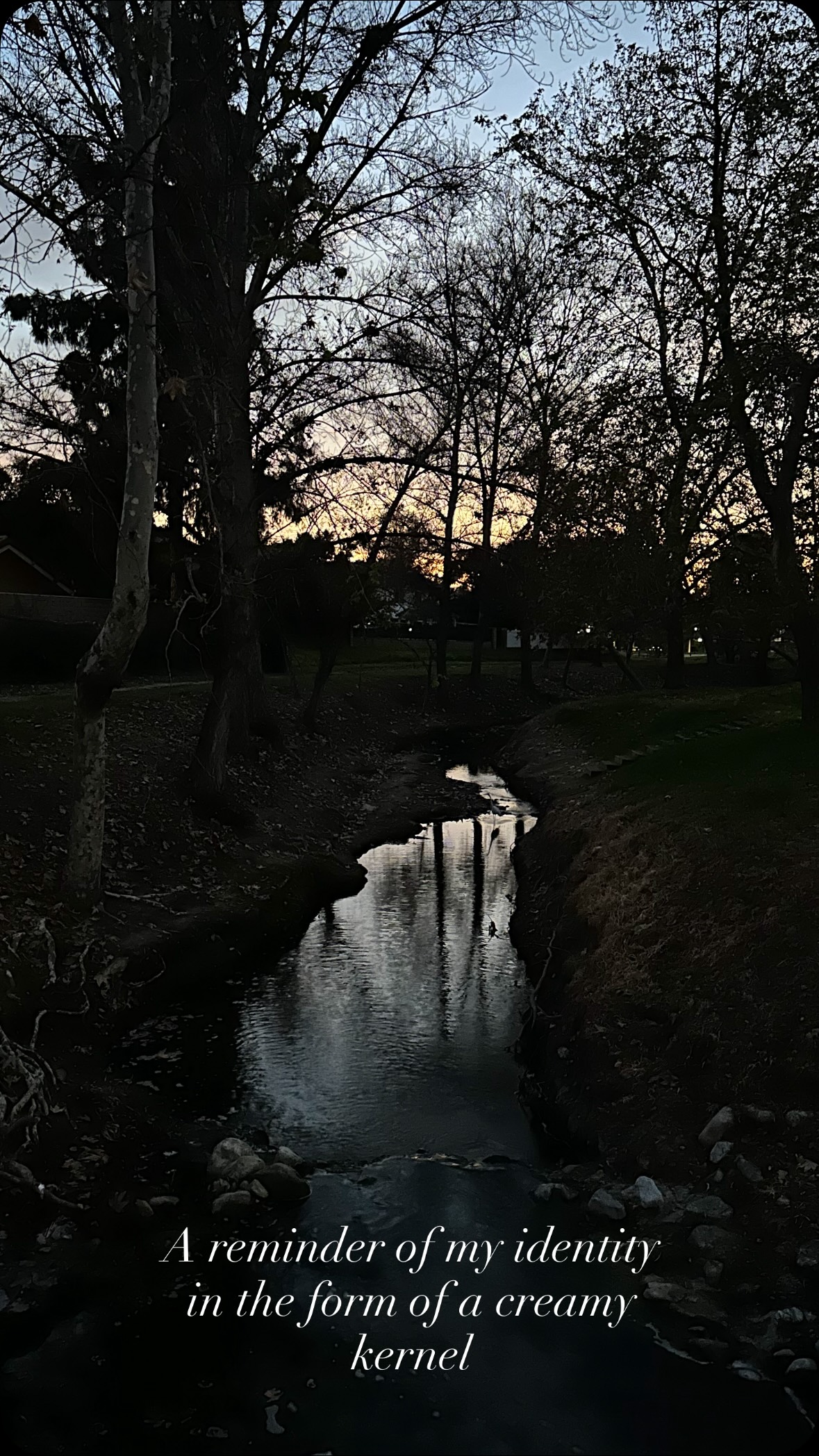 Act 1 Scent 2: Sweet Tooth Compass. A mental bookmark pinpointing a moment in my childhood timeline when I first encountered this creamy memory.
**full blog link in the bio**
#blog #momentofscent #scentpoetry #xentomento #identity