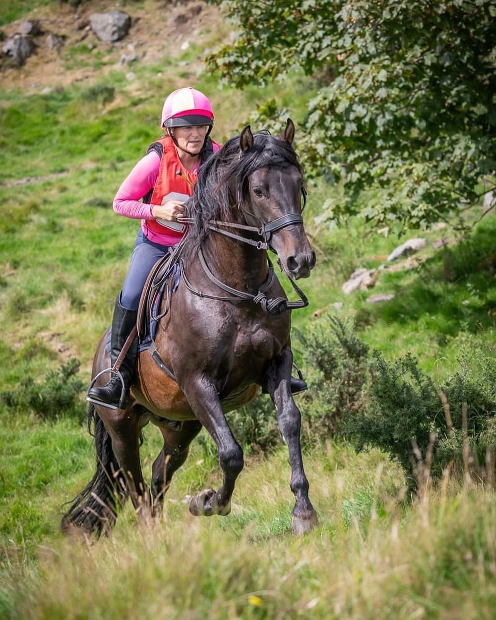 @caiekaty and her wonderful PRE stallion competing at level 2a TREC last weekend😍
Thank you for sharing the picture Katy!
#transcendbitlessbridle #doublebitlessbridle #simplesidecue #bitless #freedom #connection #superiorquality #englishleather #equine #horse #pony #bespoke #naturalhorsemanship #equestrian #baroque #horseaddict #equality #tack #biothane #photography #glowup #natural #horsesofinstagram #showjumping #dressage