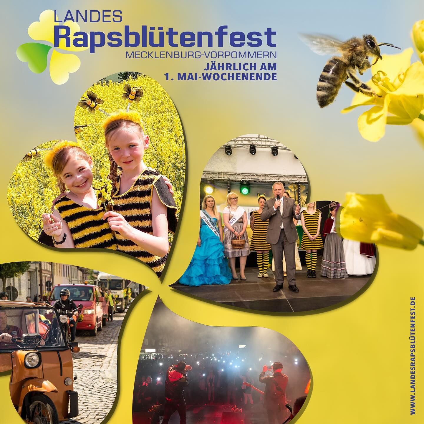 20. Landesrapsblütenfest MV vom 03.05.-05.05.2024 auf dem Marktplatz in Sternberg