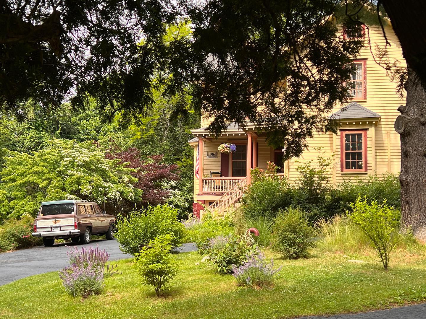 dreamy afternoon here on the hill.