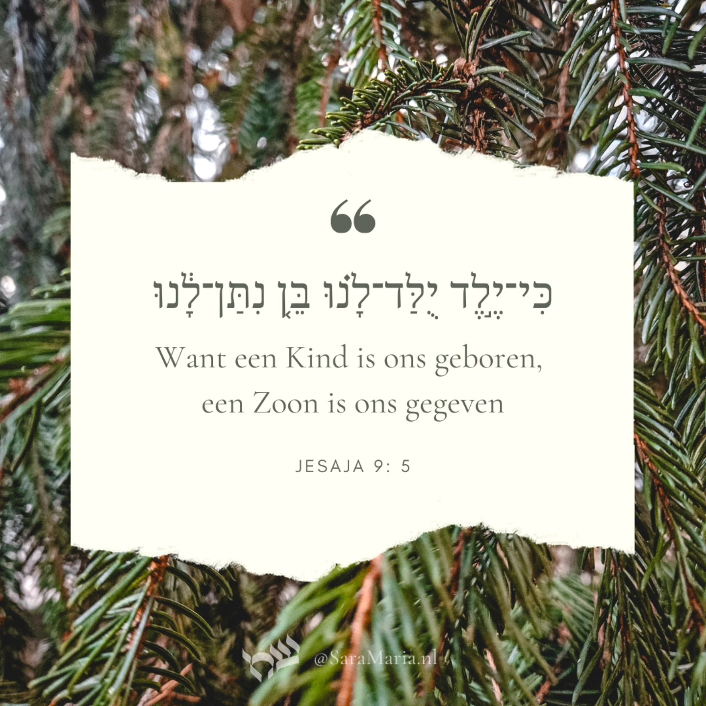Want een Kind (Jeled) is ons geboren, een Zoon (Ben) is ons gegeven, en de heerschappij is op Zijn schouder; en men noemt Zijn naam Wonderlijk (Pèlè), Raad (Joëets), Sterke God (El-gibor), Vader der eeuwigheid (Avijad), Vredevorst (Sar-sjalom);
Jesaja 9:5
כִּי־יֶ֣לֶד יֻלַּד־לָ֗נוּ בֵּ֚ן נִתַּן־לָ֔נוּ וַתְּהִ֥י הַמִּשְׂרָ֖ה עַל־שִׁכְמ֑וֹ וַיִּקְרָ֨א שְׁמ֜וֹ פֶּ֠לֶא יוֹעֵץ֙ אֵ֣ל גִּבּ֔וֹר אֲבִיעַ֖ד שַׂר־שָׁלֽוֹם׃