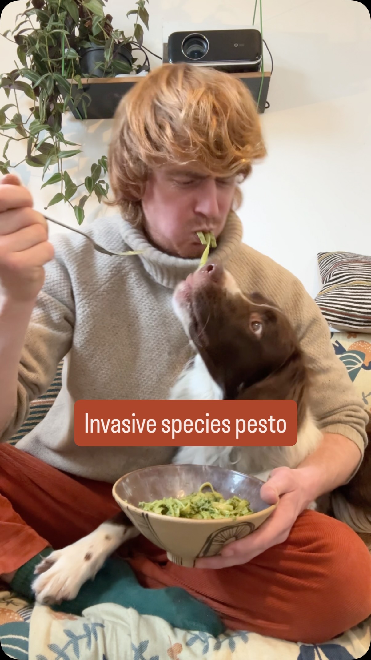 This plant is easy to find, easy to ID and easy to turn into this wonderful pesto, so tap tap save and go and find some next time you’re out!
It grows at woodland edges, parks (around deciduous trees), along footpaths and road verges, often along side other spring bulbs so make sure you positively ID it and don’t eat a bluebell shoot you donuts. It’s called Three Cornered Leek - Allium triquetrum
Recipe was made with olive oil, cashew and pecan nuts, salt, pepper and three cornered leek. I just eye balled the amounts, but you can follow any wild garlic pesto recipe and just swap it for TCL.
Happy foraging!
#foraging #natureconnection #londonparks #wildpesto #pesto