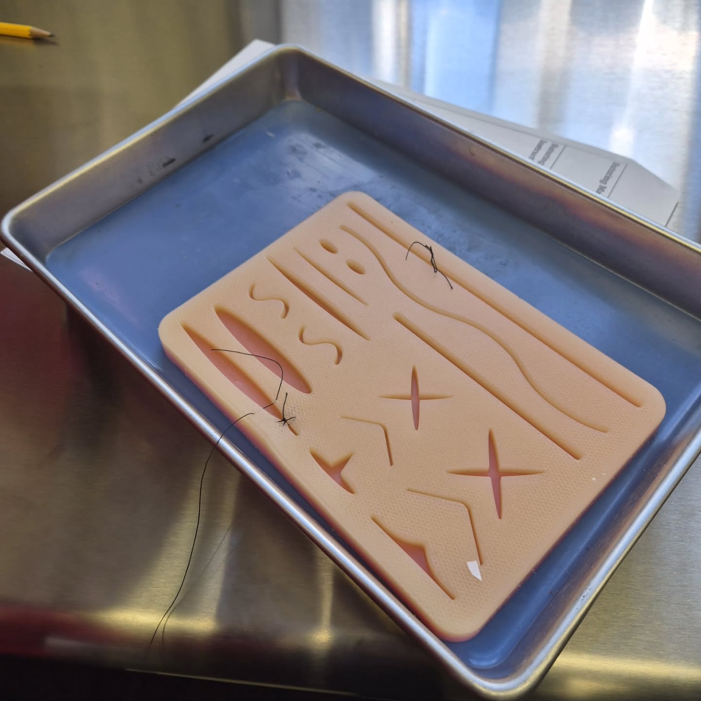 Hands-on learning in Anatomy & Physiology Class. Practicing suturing techniques used in surgery, one stitch at a time.
#anotomyandphysiology #forsyth #schoolisfun #experientiallearning #suturing