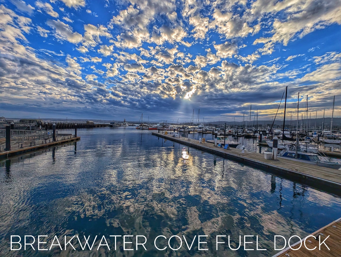 Tuesday morning views at the Fuel Dock. We're open 8am-12pm, 1pm-5pm. Radio ch.9 for the Fuel Attendant.
#MBBW #MtryBayBoatworks #MtyBayBoatworks #Monterey #MontereyBay