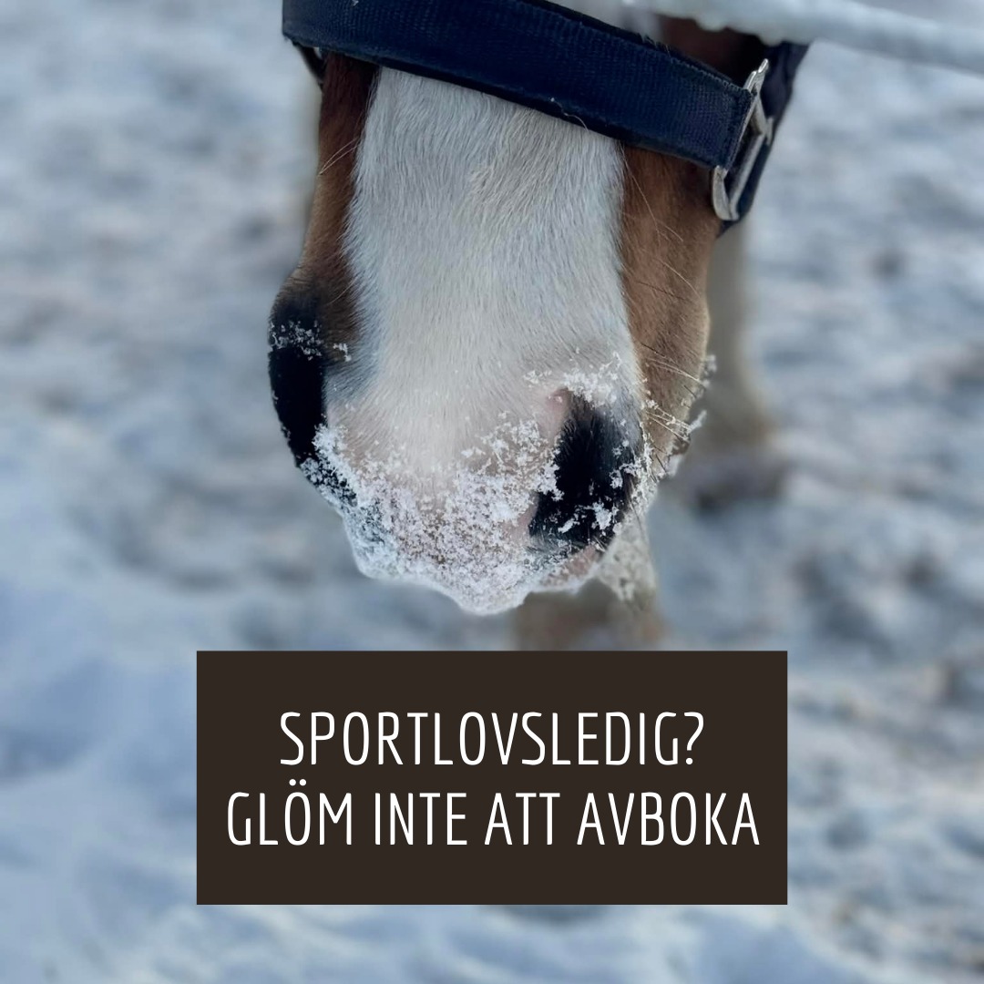 Sportlov = skidor, sol och sovmorgon?
Vad härligt! Men glöm inte att avboka din ridlektion om du är bortrest. Våra fyrbenta kollegor uppskattar att vi planerar deras schema i god tid – de vill ju också ha ett lagom sportlov!
Tack för att du hjälper oss att ge hästarna bästa möjliga planering!
#afrk #stallvardag #sportlov
