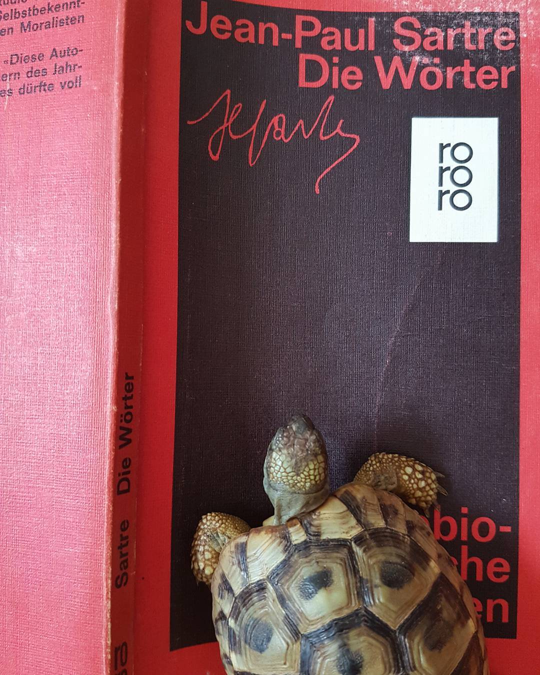 Autobiographische Schriften. Love my wife. #goslow