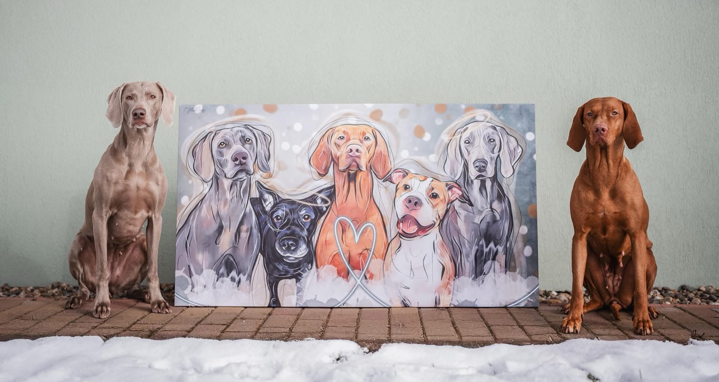 Jedna z mých velmi oblíbených prací, už nějaký ten měsíc stará. On to možná bude rok 2024 dokonce ❤️
Ani nevím, proč ji mám v hloubi duše na prvních příčkách.. jestli to složení, kompozice, velikost, příběh? On se vlastně nejen příběh někdy píše sám, ale vznikají i vazby mezi mnou a zákazníkem, aniž by na tom člověk pracoval. A za to děkuju.
Někdy si cestu ke mě najdete samy, někdy se prostě najdeme aniž bychom to plánovali, někdy Vám do cesty vstoupím cíleně.. vše je jak má být a já jsem vděčná, že mohu tvořit ❤️
#dogart #psiportret #pejseknaplatne #vizslaart #weimaranerart