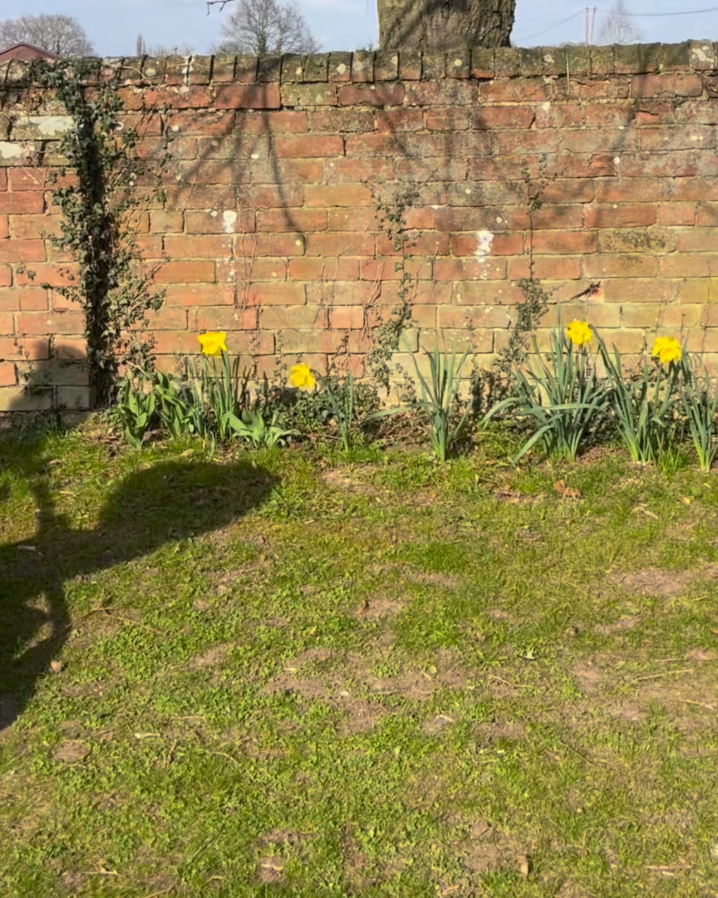 ✨ Venicci Event | 13–14 February ✨
Exclusive offers, expert advice, and an in-store preview of the NEW Venicci Tila 🤍